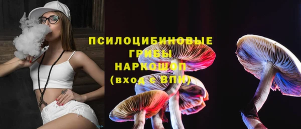 меф Алексин