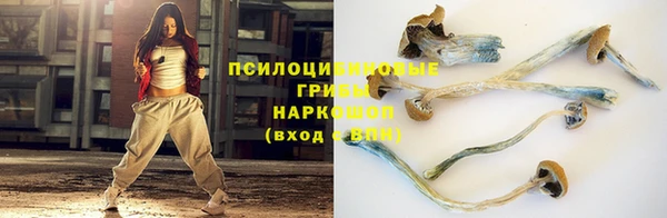 MDMA Новозыбков