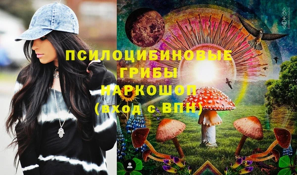 дживик Новодвинск