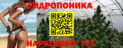 гидропоника Гусиноозёрск