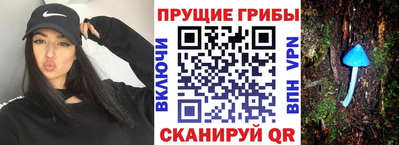 где купить наркотик  Набережные Челны  Галлюциногенные грибы Magic Shrooms 